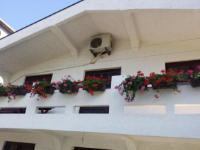 Отель Apartment Tripkovic  Бар